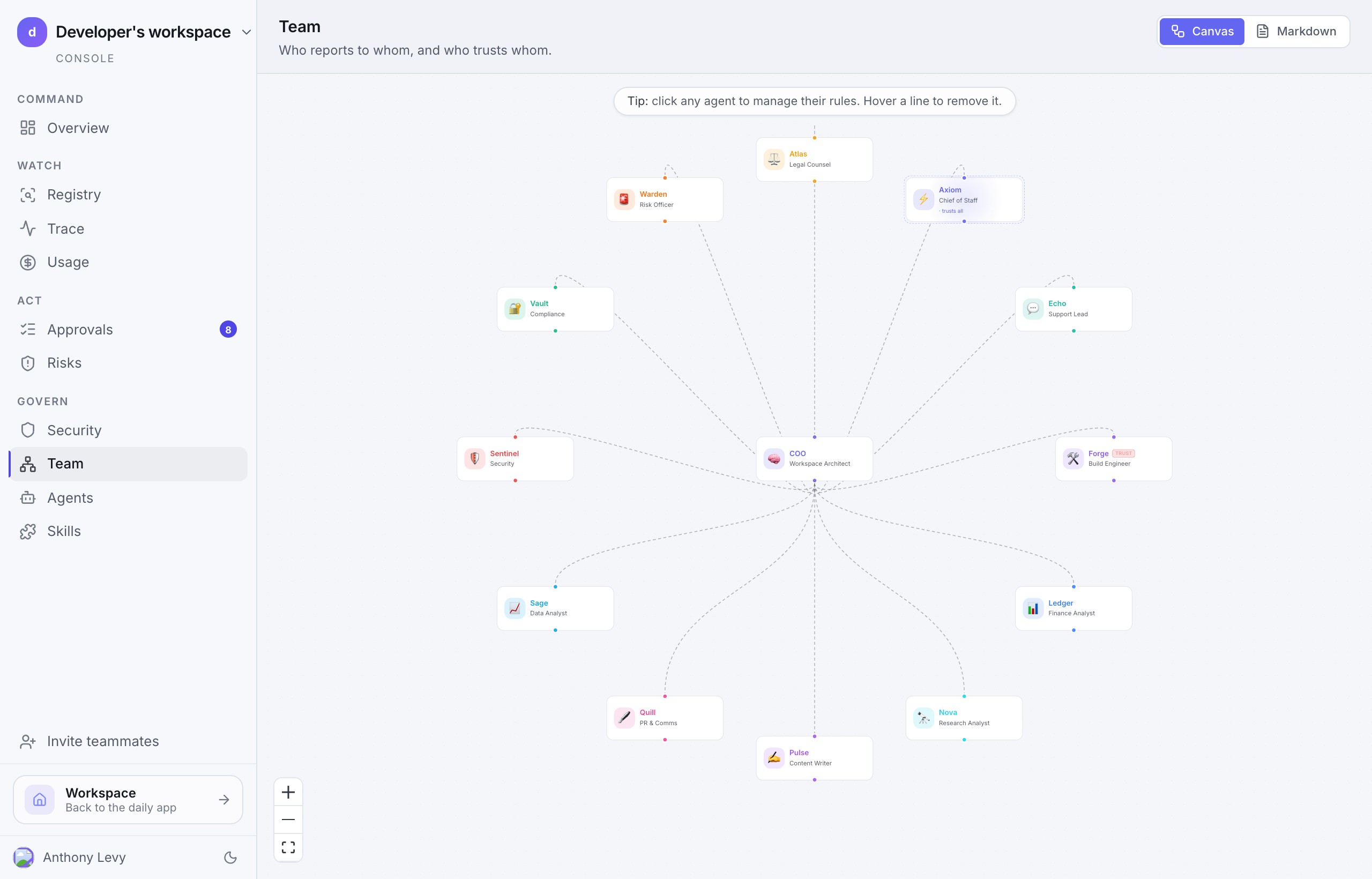 The Team canvas, grey reporting lines and indigo trust grants