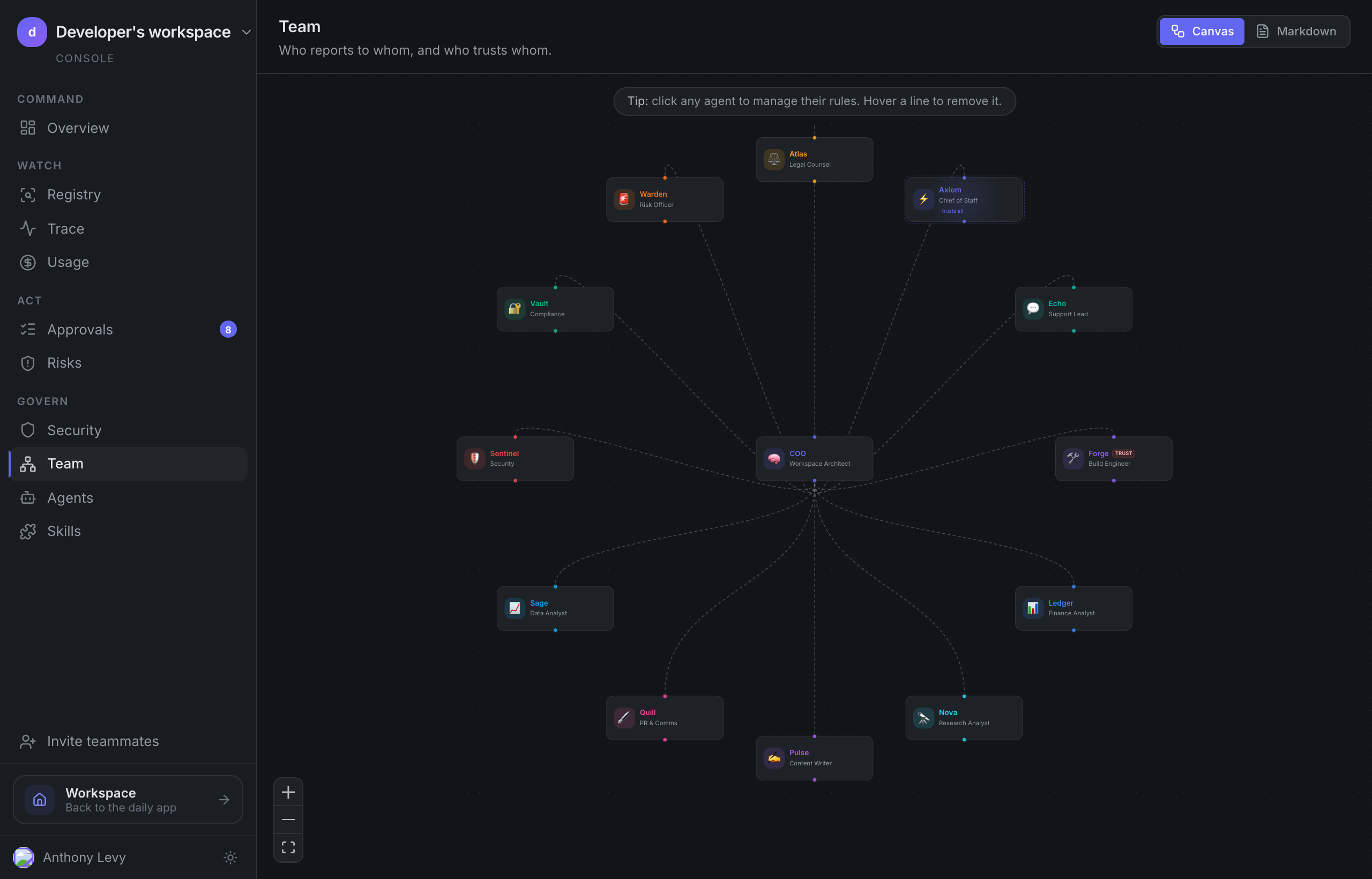 The Team canvas, grey reporting lines and indigo trust grants